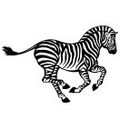 Fleischer Zebra 0001.jpg